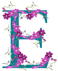 E Floral